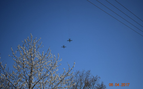 dsc_0543.jpg
