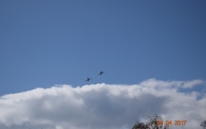 dsc_0545.jpg